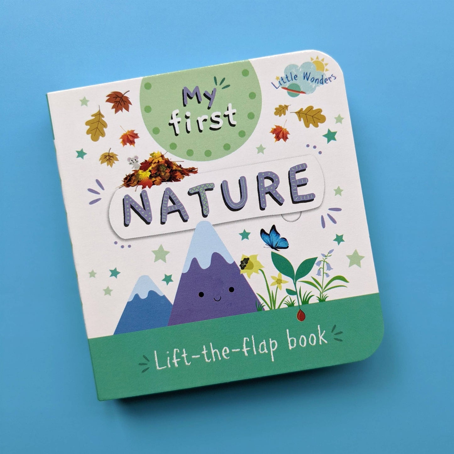 Little Wonders My First Mini Lift The Flap Nature Book