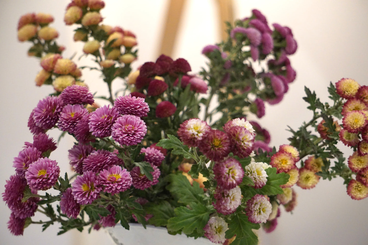 Chrysanthemum Flower Arrangements