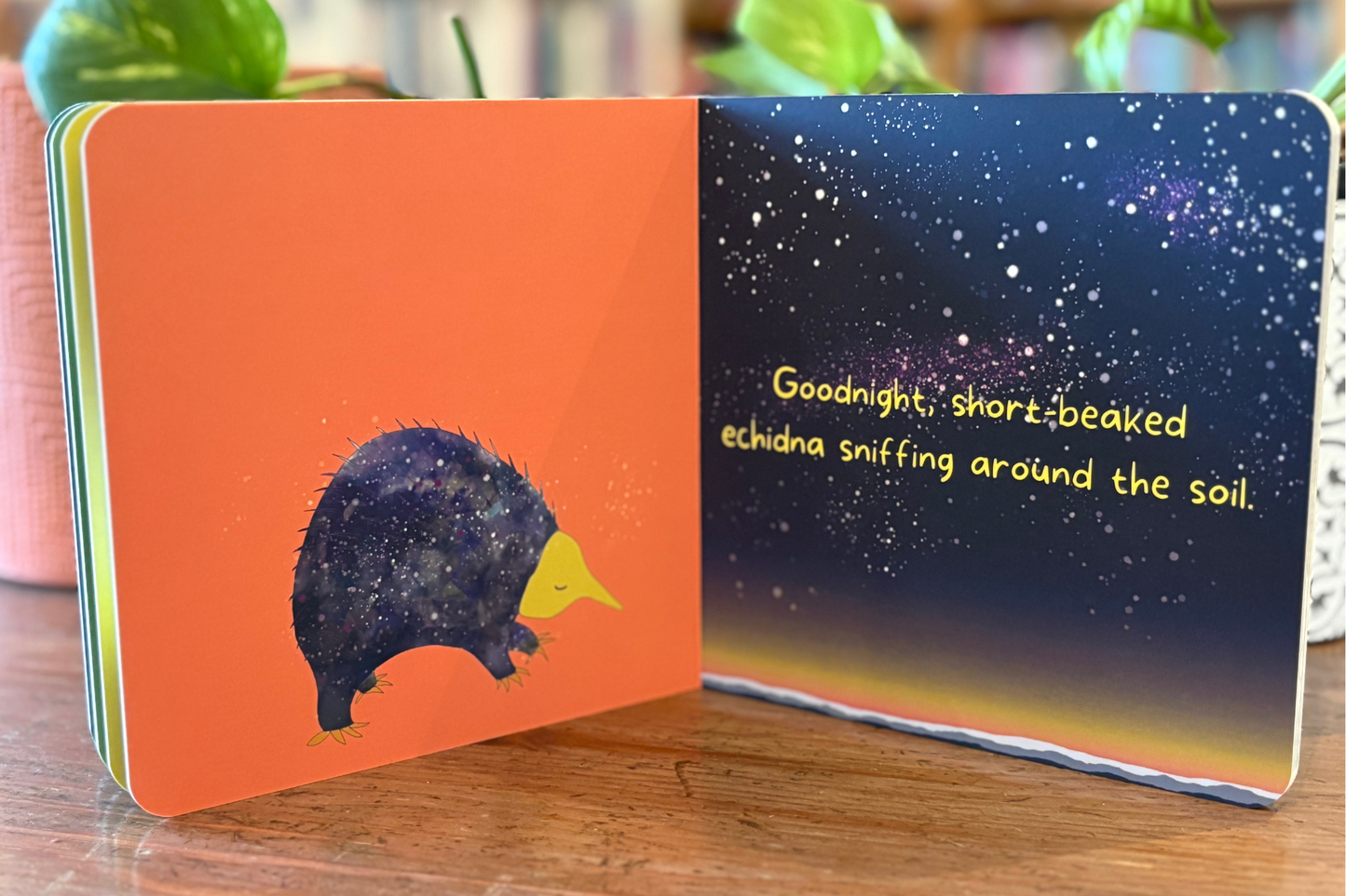 “Goodnight, Blue Mountains” Board Book