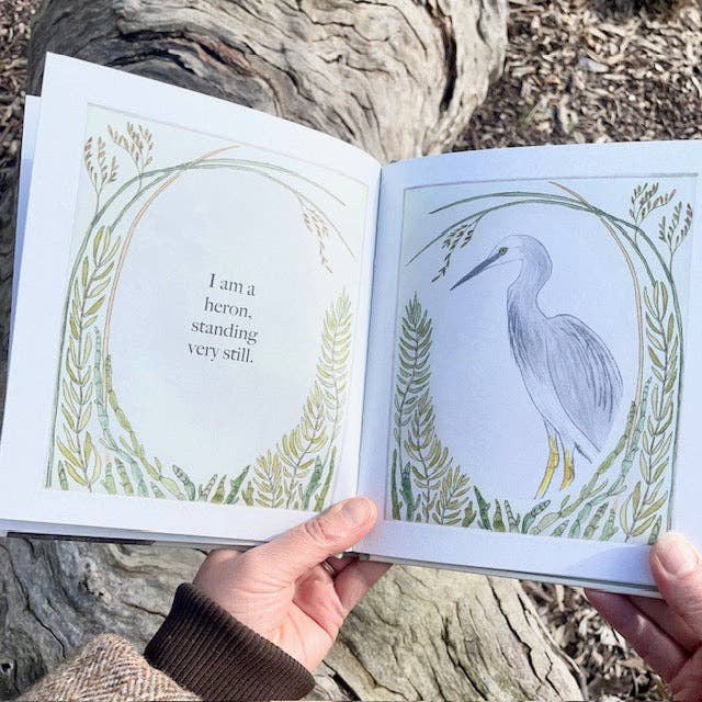 I am a Magpie, I am a Currawong - CBCA Shortlist