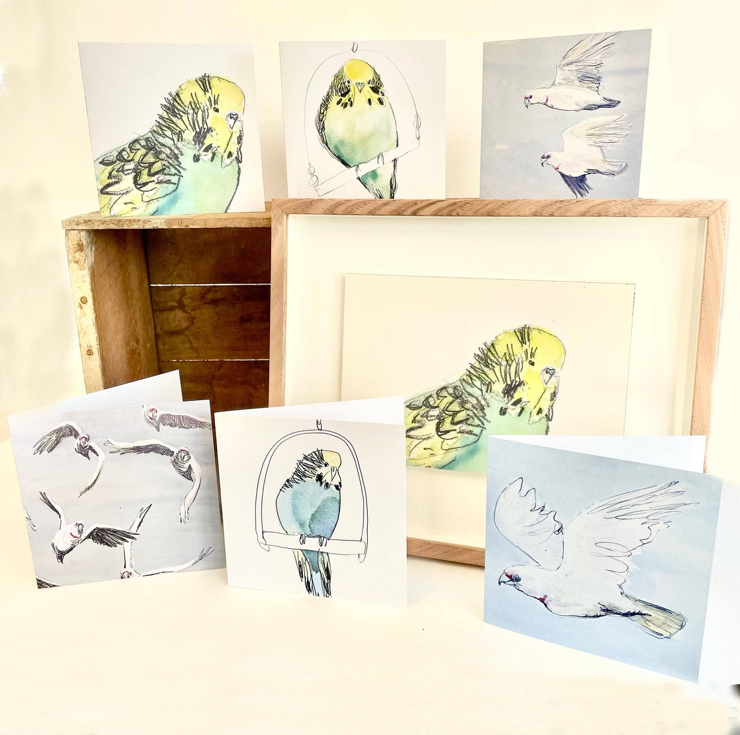 Greeting Card - Corella