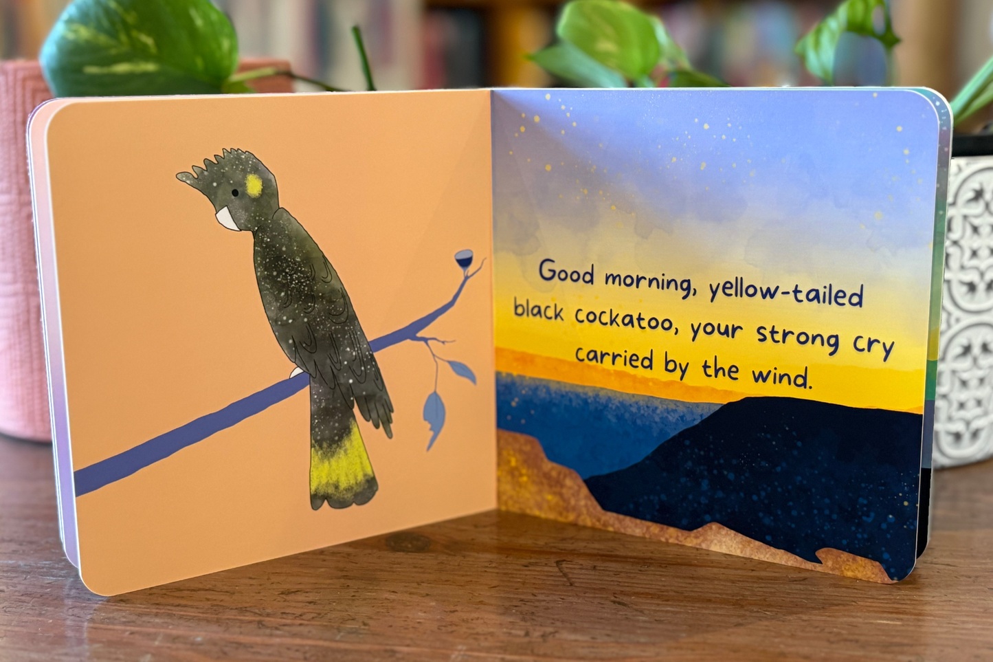 “Good Morning, Blue Mountains” Board Book